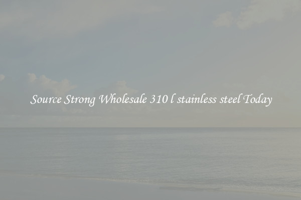 Source Strong Wholesale 310 l stainless steel Today