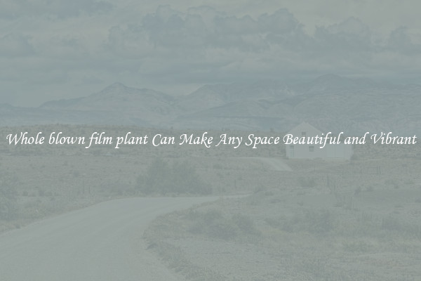 Whole blown film plant Can Make Any Space Beautiful and Vibrant
