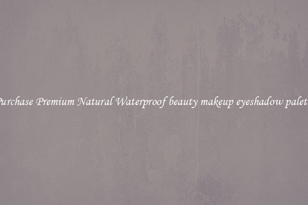 Purchase Premium Natural Waterproof beauty makeup eyeshadow palette
