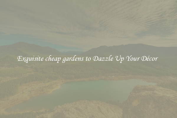 Exquisite cheap gardens to Dazzle Up Your Décor  