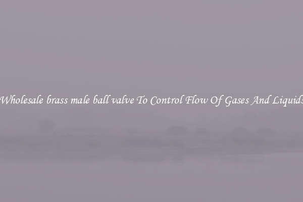 Wholesale brass male ball valve To Control Flow Of Gases And Liquids