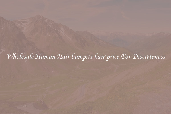 Wholesale Human Hair bumpits hair price For Discreteness