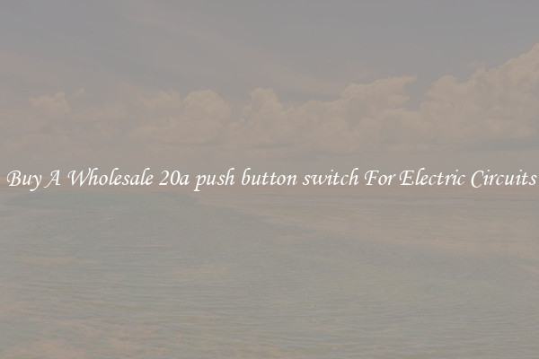 Buy A Wholesale 20a push button switch For Electric Circuits