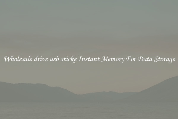 Wholesale drive usb sticke Instant Memory For Data Storage