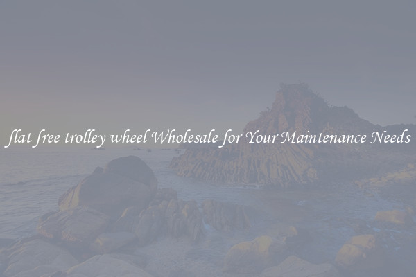 flat free trolley wheel Wholesale for Your Maintenance Needs