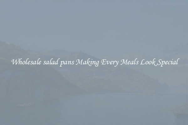Wholesale salad pans Making Every Meals Look Special