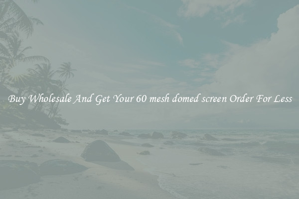 Buy Wholesale And Get Your 60 mesh domed screen Order For Less
