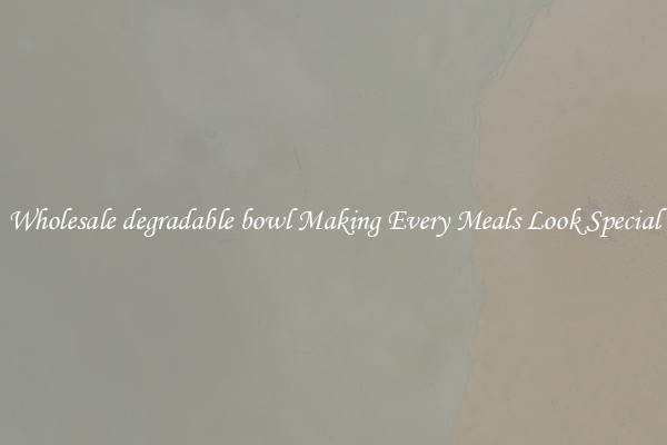 Wholesale degradable bowl Making Every Meals Look Special