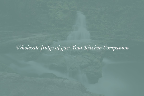 Wholesale fridge of gas: Your Kitchen Companion