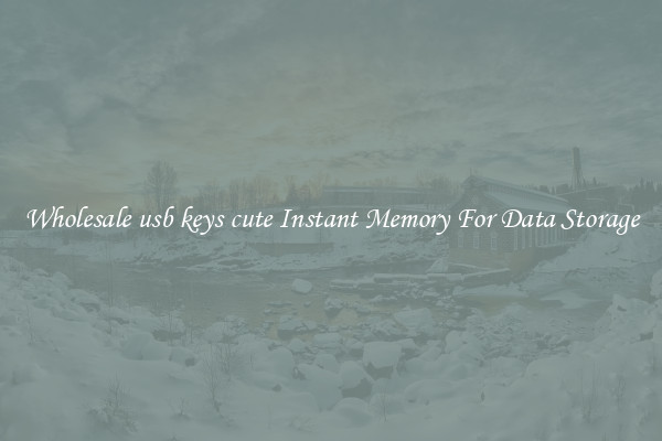 Wholesale usb keys cute Instant Memory For Data Storage