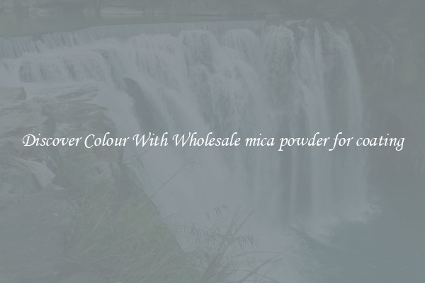 Discover Colour With Wholesale mica powder for coating