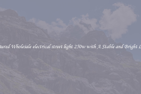 Featured Wholesale electrical street light 250w with A Stable and Bright Light