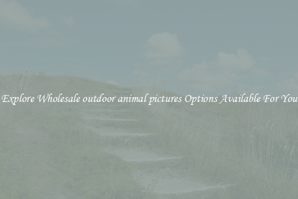 Explore Wholesale outdoor animal pictures Options Available For You