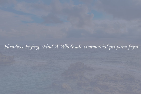 Flawless Frying: Find A Wholesale commercial propane fryer