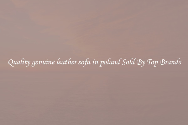 Quality genuine leather sofa in poland Sold By Top Brands