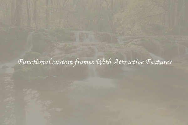 Functional custom frames With Attractive Features
