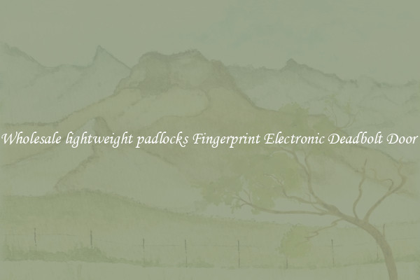 Wholesale lightweight padlocks Fingerprint Electronic Deadbolt Door 