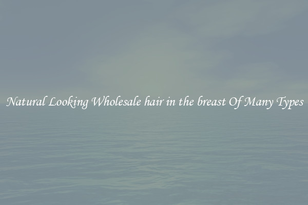 Natural Looking Wholesale hair in the breast Of Many Types