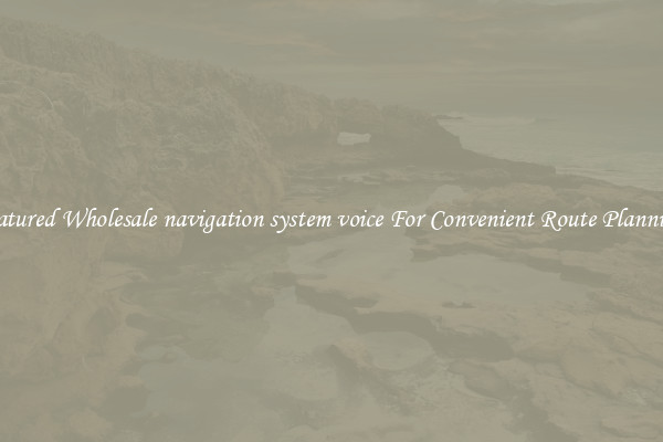 Featured Wholesale navigation system voice For Convenient Route Planning 