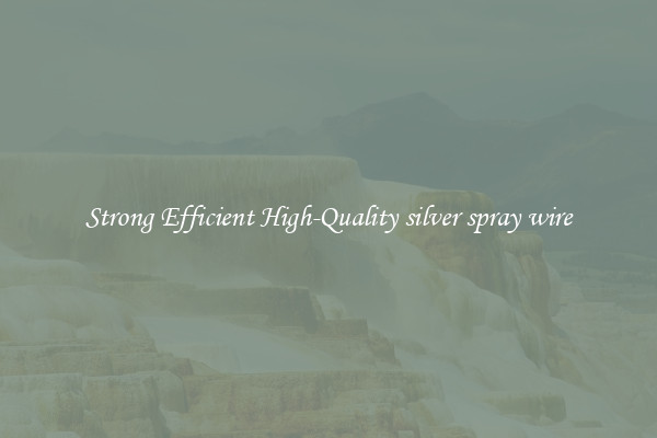 Strong Efficient High-Quality silver spray wire