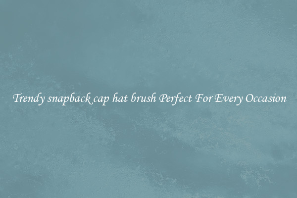 Trendy snapback cap hat brush Perfect For Every Occasion