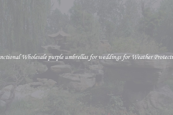 Functional Wholesale purple umbrellas for weddings for Weather Protection 