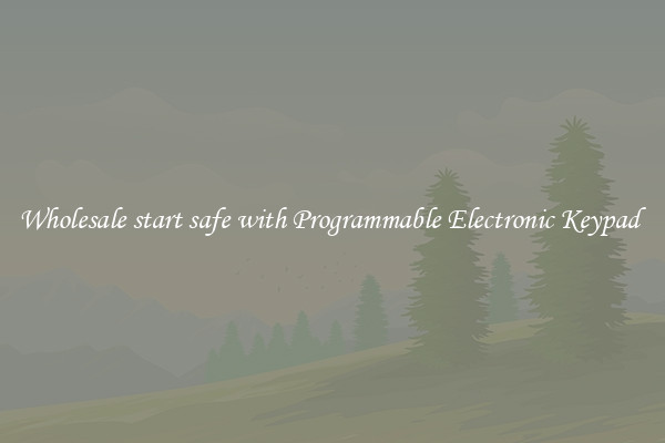 Wholesale start safe with Programmable Electronic Keypad 