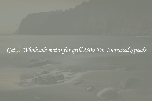 Get A Wholesale motor for grill 230v For Increased Speeds