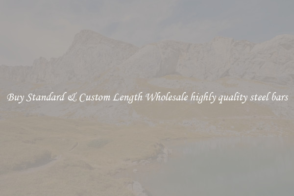 Buy Standard & Custom Length Wholesale highly quality steel bars